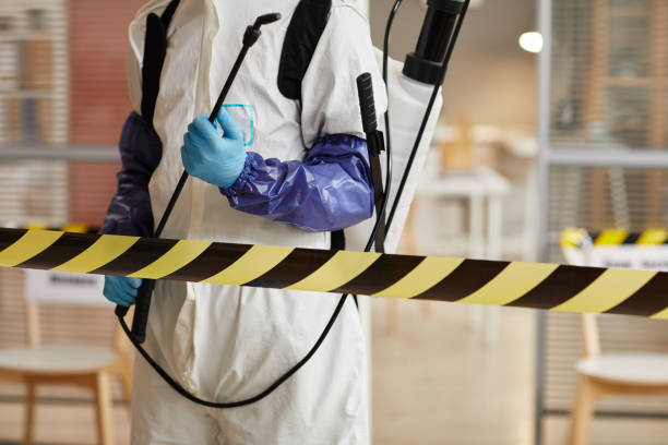 Professional Sewage Cleanup technician working in Riverside, CT